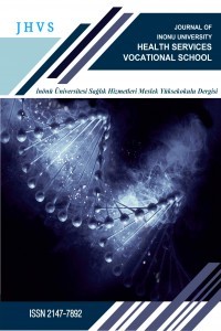 Journal of Vocational School of Health Service
