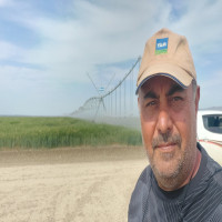 Hakan Hekimhan
